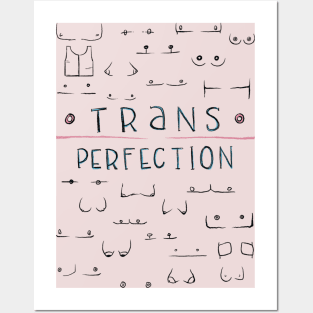 Trans Perfection Posters and Art